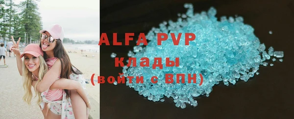 твердый Ростов