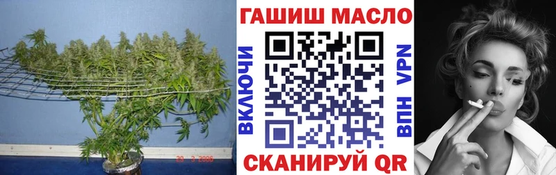 ТГК концентрат Вуктыл
