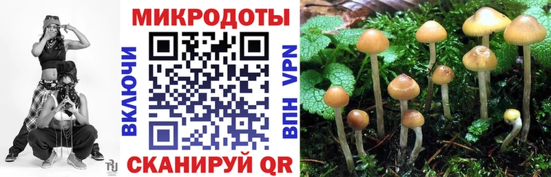 Псилоцибиновые грибы прущие грибы  Вуктыл 